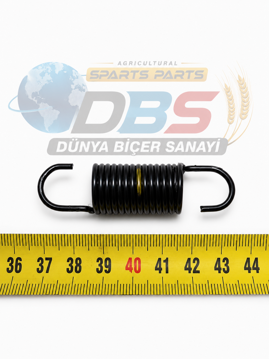 BERTOLINI İLERİ GERİ YAY