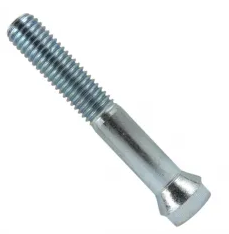 YARIKLI BURÇ CİVATASI DBS