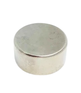 BERTOLINI KAPRİN PULU